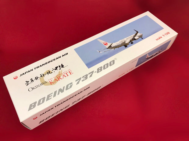 JTA ボーイング737-800 空手ジェット – 沖縄空手会館